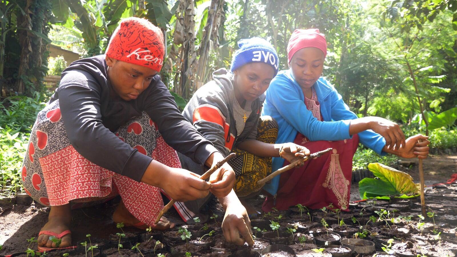 Sowing the Seeds of Change: The Invaluable Benefits of Tree Planting in the Bahamas